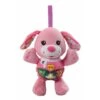 VTech Baby Knuffel En Speel Puppy - Roze -Speelgoedpop Winkel 1750440