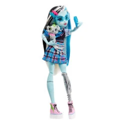 MATTEL Monster High Frankie Stein Pop Met Huisdier En Accessoires -Speelgoedpop Winkel 1995015 bbc3d464